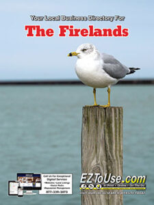 The Firelands 2022 Cover